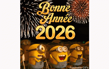 Bonne année 2026 !!