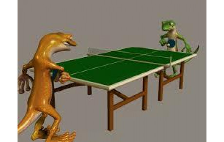 TOURNOI DE NOËL  Le lundi 15 décembre